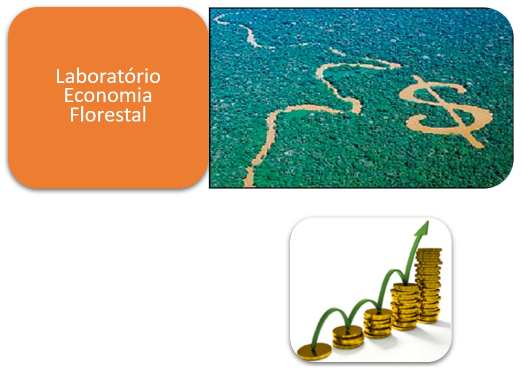 LPF - Laboratório de Produtos Florestais - Banco de Dados Madeiras  Brasileiras